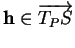 % latex2html id marker 36287
$ {\bf h}\in\overrightarrow{T_{P}S}$