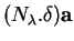 % latex2html id marker 37399
$\displaystyle (N_\lambda.\delta){\bf a}$