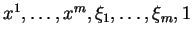 $ x^1,\ldots,x^m,\xi_1,\ldots,\xi_m,1$