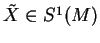 $ \tilde{X}\in S^1(M)$