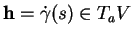 % latex2html id marker 11920
$ {\bf h}=\dot{\gamma}(s)\in T_aV$