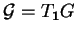 % latex2html id marker 12346
$ {\mathcal G}=T_{\bf 1} G$