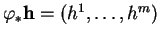 % latex2html id marker 14181
$ \varphi_*{\bf h}=(h^1,\ldots,h^m)$