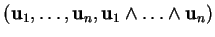 % latex2html id marker 20746
$ ({\bf u}_1,\ldots ,{\bf u}_n,{\bf u}_1\wedge\ldots\wedge{\bf u}_n)$