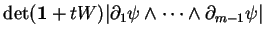 % latex2html id marker 22167
$ \det({\bf 1}+tW)\vert\partial_1\psi\wedge\cdots\wedge\partial_{m-1}\psi\vert$