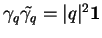 % latex2html id marker 18074
$ \gamma_q\tilde{\gamma_q}=\vert q\vert^2{\bf 1}$